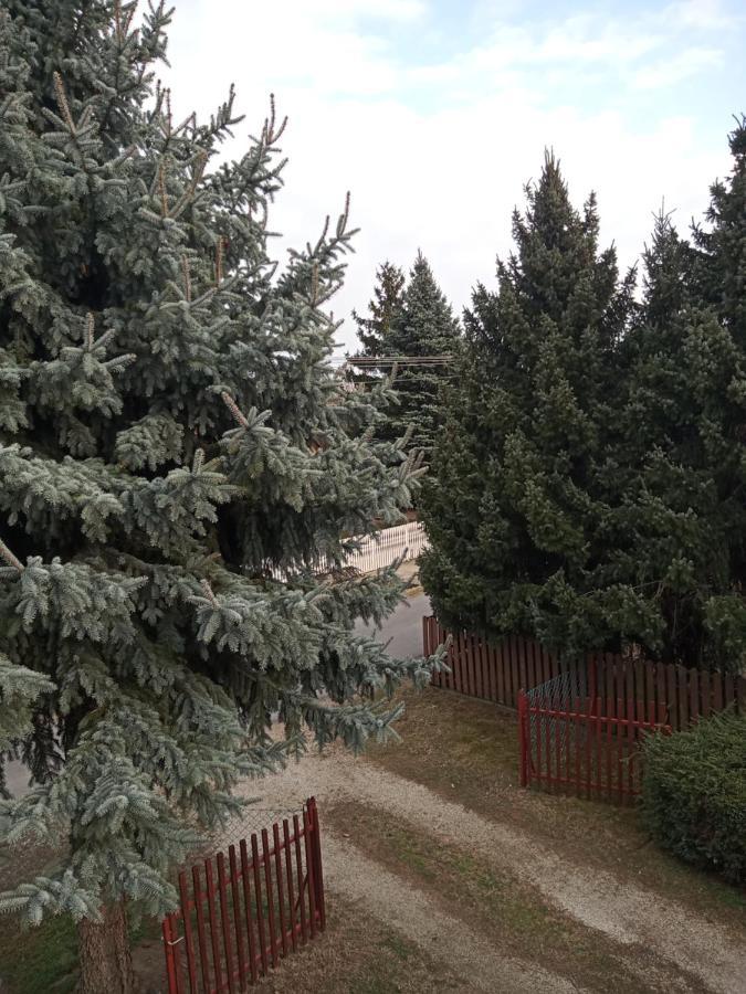 Borostyan Vendeghaz Appartement Balatonkeresztúr Buitenkant foto